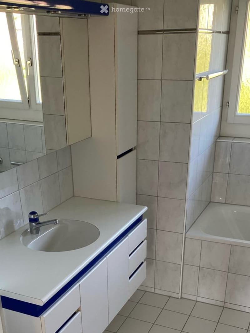 Modern bathroom with a white countertop sink, blue accents, a large mirror, and a bathtub with a glass shower enclosure.