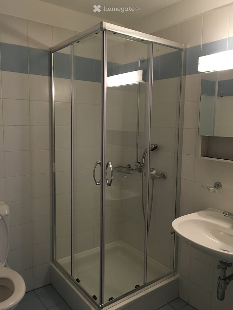 Modern bathroom with a glass-enclosed shower stall, toilet, sink, and a mirror above the sink. The walls are tiled in a blue and beige pattern.