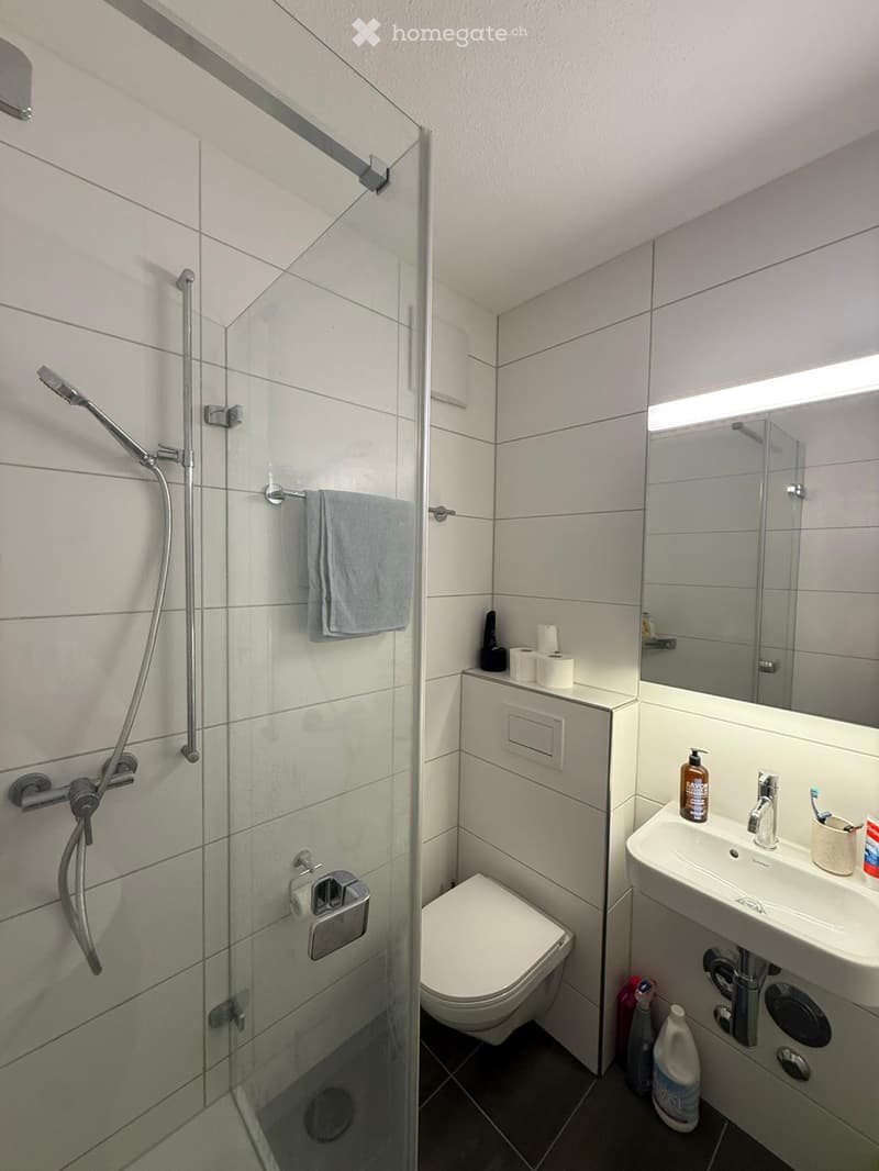 Modern bathroom with white tiles, a glass-enclosed shower, a toilet, a sink with a mirror, and various toiletries.