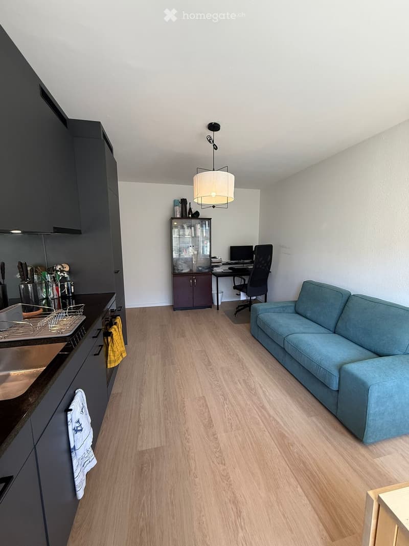 A modern, open-concept living and kitchen area with light wood flooring, dark grey kitchen cabinets, a blue sofa, a desk with a computer, and a pendant light fixture.