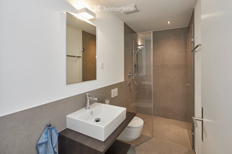 Modern bathroom with a white sink, mirror, toilet, and glass-enclosed shower. Features a sleek design with a wooden vanity and a towel hanging on the side.