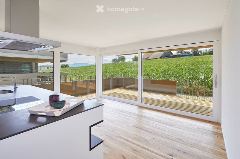 Modern kitchen with white cabinets, wooden flooring, large sliding glass doors opening to a wooden deck, and a view of a green field.