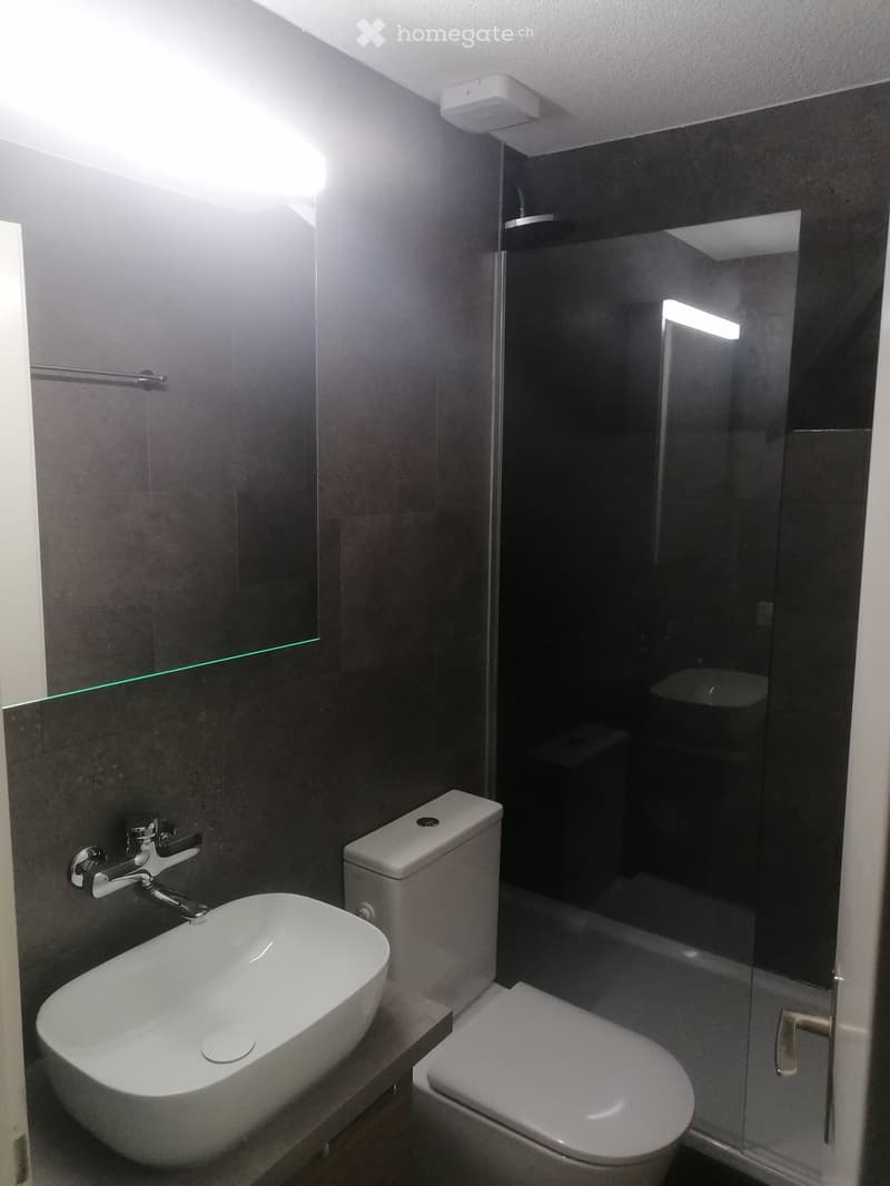 Modern bathroom with a white sink, chrome faucet, toilet, glass-enclosed shower, and dark tiled walls.