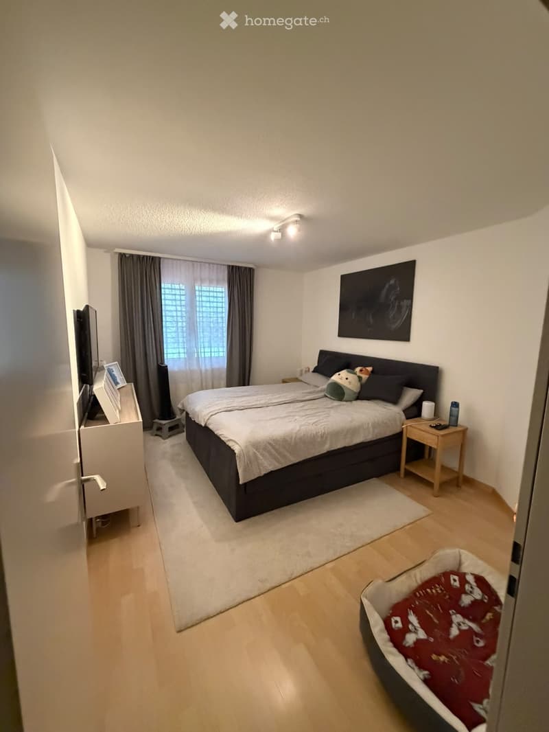 Modern bedroom with a large bed, nightstand, table lamp, and a dog bed. The room features wooden flooring, white walls, and large windows with curtains.