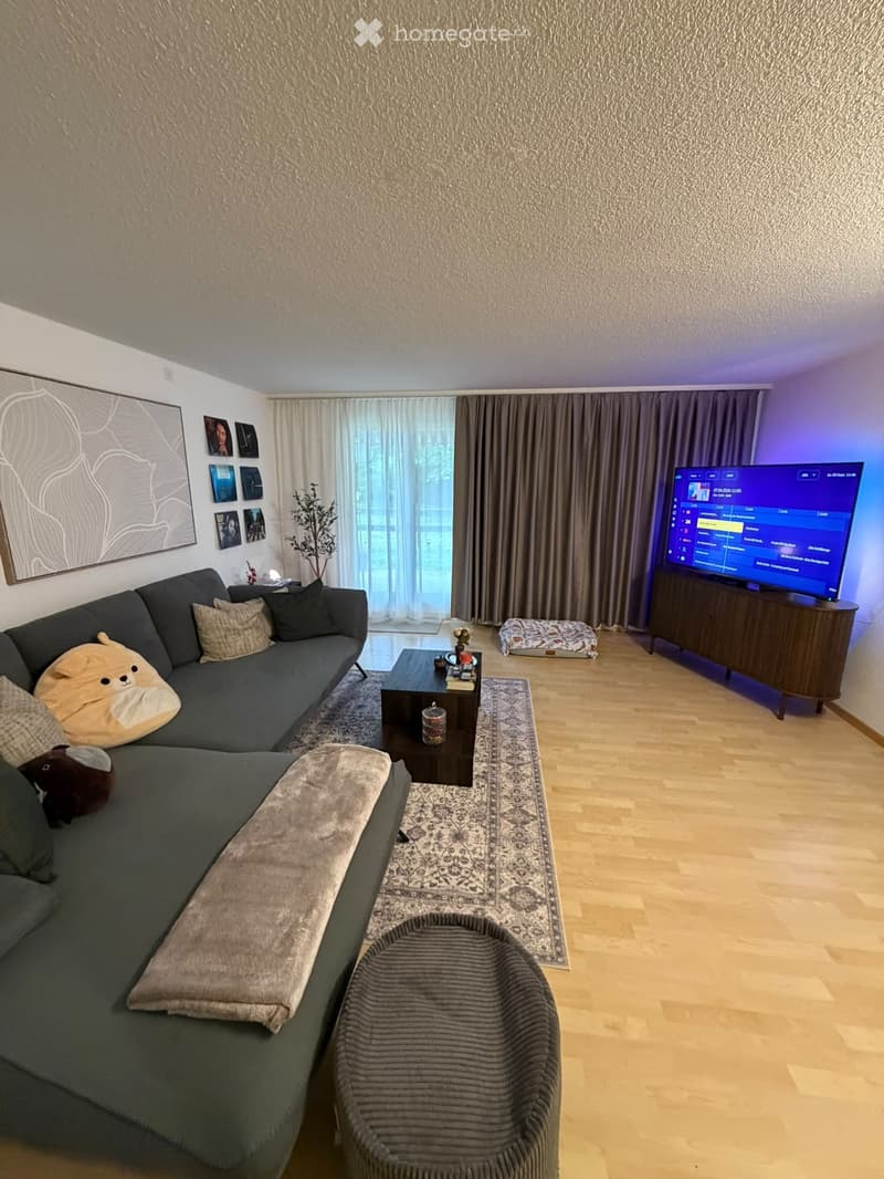 Modern living room with a grey sectional sofa, coffee table, TV, and decorative pillows. Features wooden flooring, large windows with curtains, and artwork on the wall.