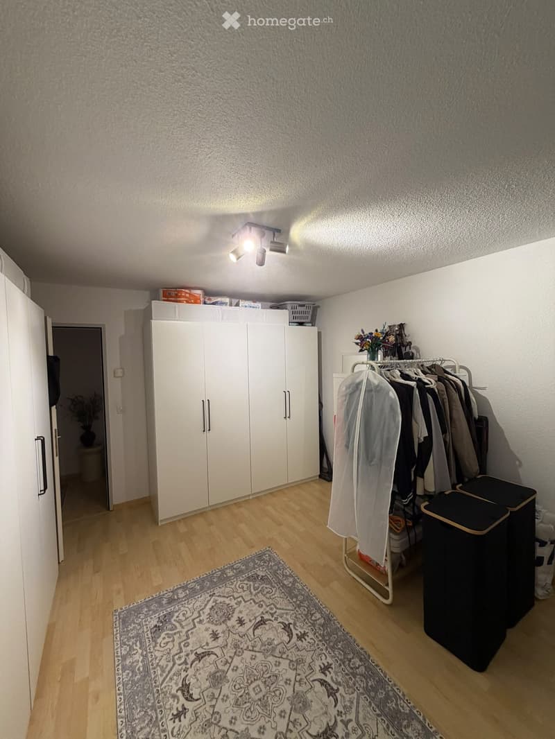 A well-lit hallway with wooden flooring, a large white wardrobe, a clothing rack with hanging garments, a patterned rug, and a trash bin.