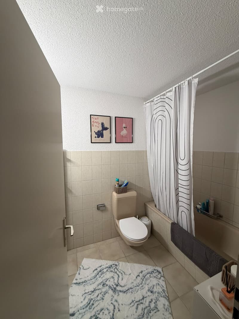 Bathroom with a toilet, shower curtain, sink, framed pictures, and a bathroom rug.