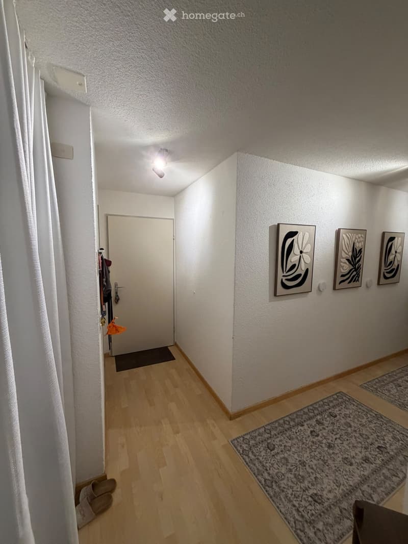 A narrow hallway with light wooden flooring, white walls, and a ceiling light fixture. There are three framed artworks on the right wall, a small rug on the floor, and a pair of shoes near the left wall.