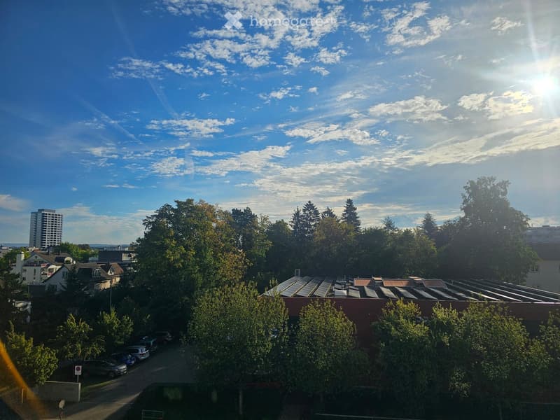 A sunny outdoor view with trees, parked cars, and a building with solar panels on the roof.