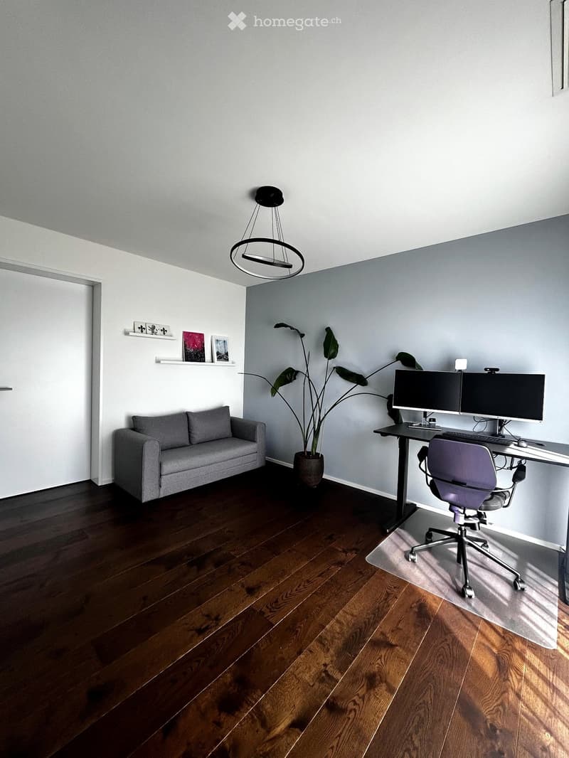 Modern room with dark wooden flooring, a grey sofa, a desk with dual monitors, a chair, a large plant, and a shelf with decorative items.