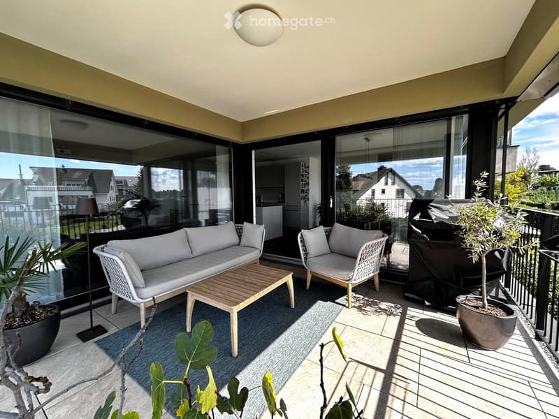 Modern balcony with a grey sofa, wooden coffee table, wicker chair, and potted plants.