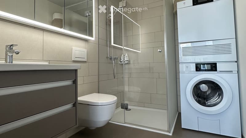 Modern bathroom with a glass-enclosed shower, a toilet, a sink with a modern faucet, and a washing machine. The walls are tiled in a neutral color, and the space is well-lit with built-in lighting above the mirror.