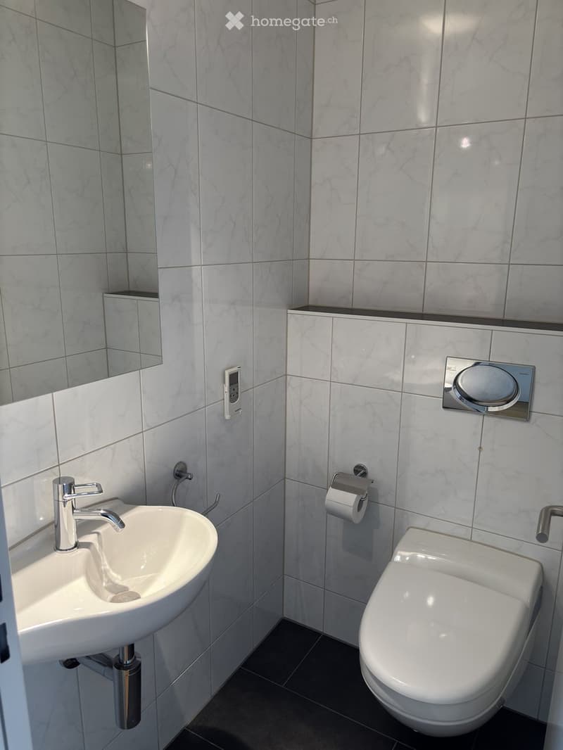 Modern bathroom with white marble tiles, a white sink with a chrome faucet, a toilet, a mirror, and a toilet paper holder.
