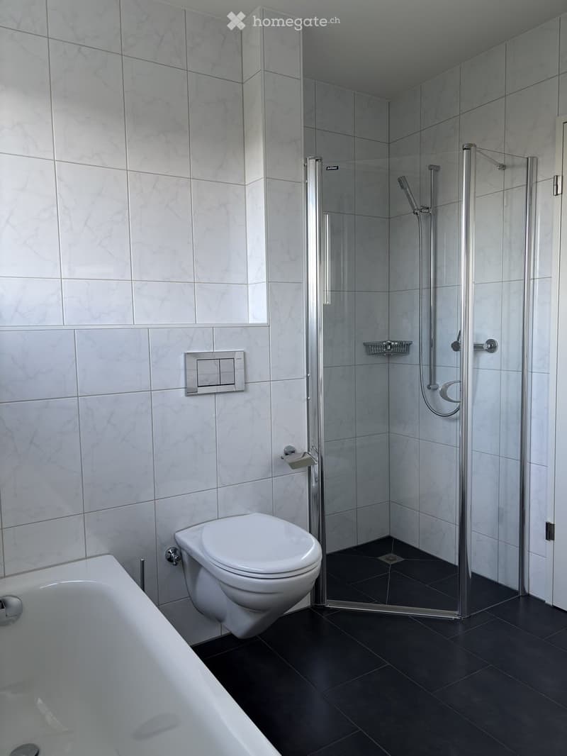 Modern bathroom with white marble tiles, a bathtub, toilet, and a glass-enclosed shower with a handheld showerhead.