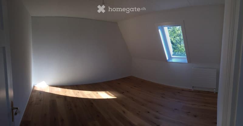Empty attic room with wooden flooring, white walls, and a skylight window allowing natural light to enter.