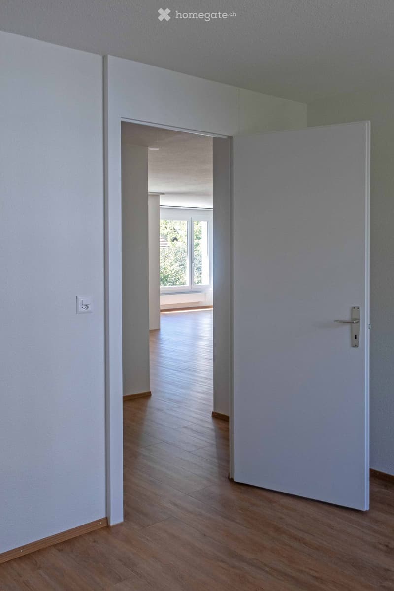 Empty hallway with wooden flooring, white walls, and a closed door leading to another room with large windows and natural light.