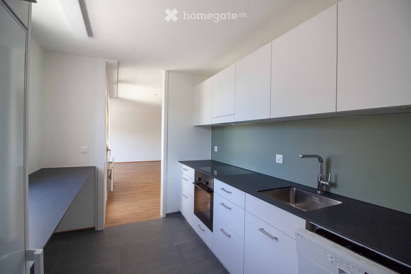 Modern kitchen with white cabinets, black countertops, stainless steel sink, and built-in appliances including an oven and dishwasher.