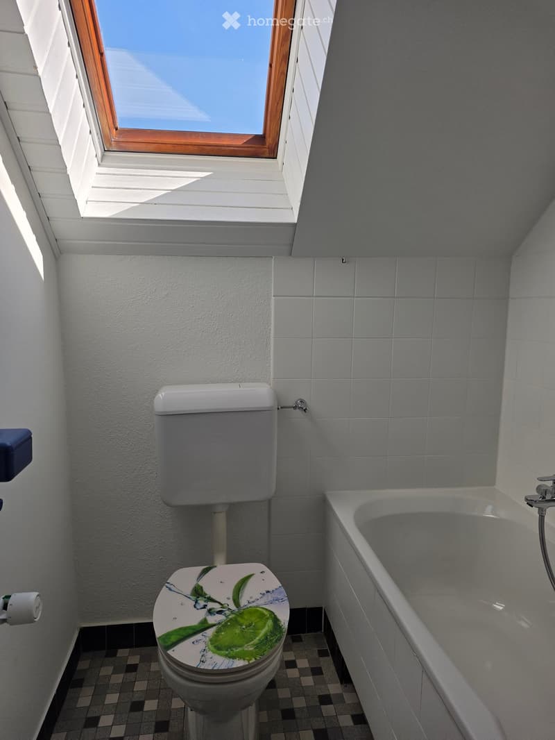 Bathroom with a toilet, bathtub, and a window with wooden frame. The toilet seat has a green apple design.