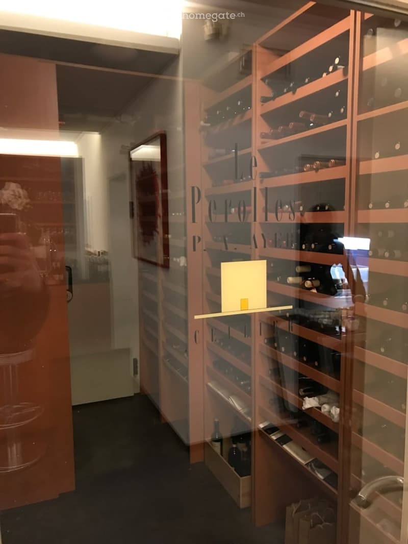 Glass-enclosed wine storage, shelves for wine bottles, kitchen appliances