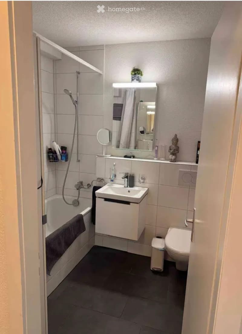 Modern bathroom with white tiles, a bathtub, a sink, a toilet, a large mirror with built-in lighting, and a small plant on the counter.