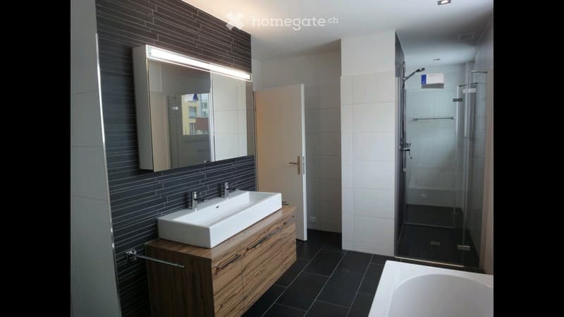 Modern bathroom with a large sink, mirror, bathtub, and glass-enclosed shower. Dark tiled walls and floor, wooden cabinet under the sink.