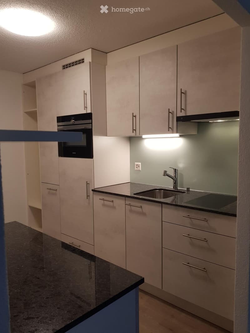 Modern kitchen with white cabinets, stainless steel sink, and built-in oven. Features sleek countertops and under-cabinet lighting.