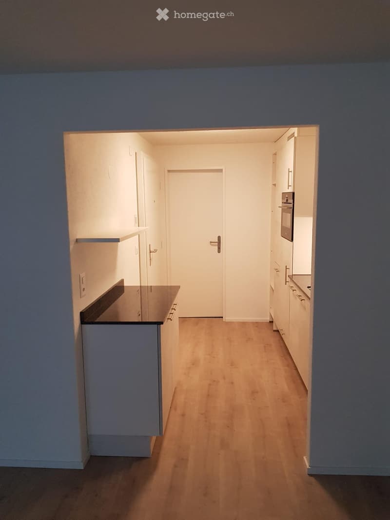 Empty hallway with wooden flooring, white walls, and built-in cabinets on both sides. A closed door is visible at the end of the hallway.