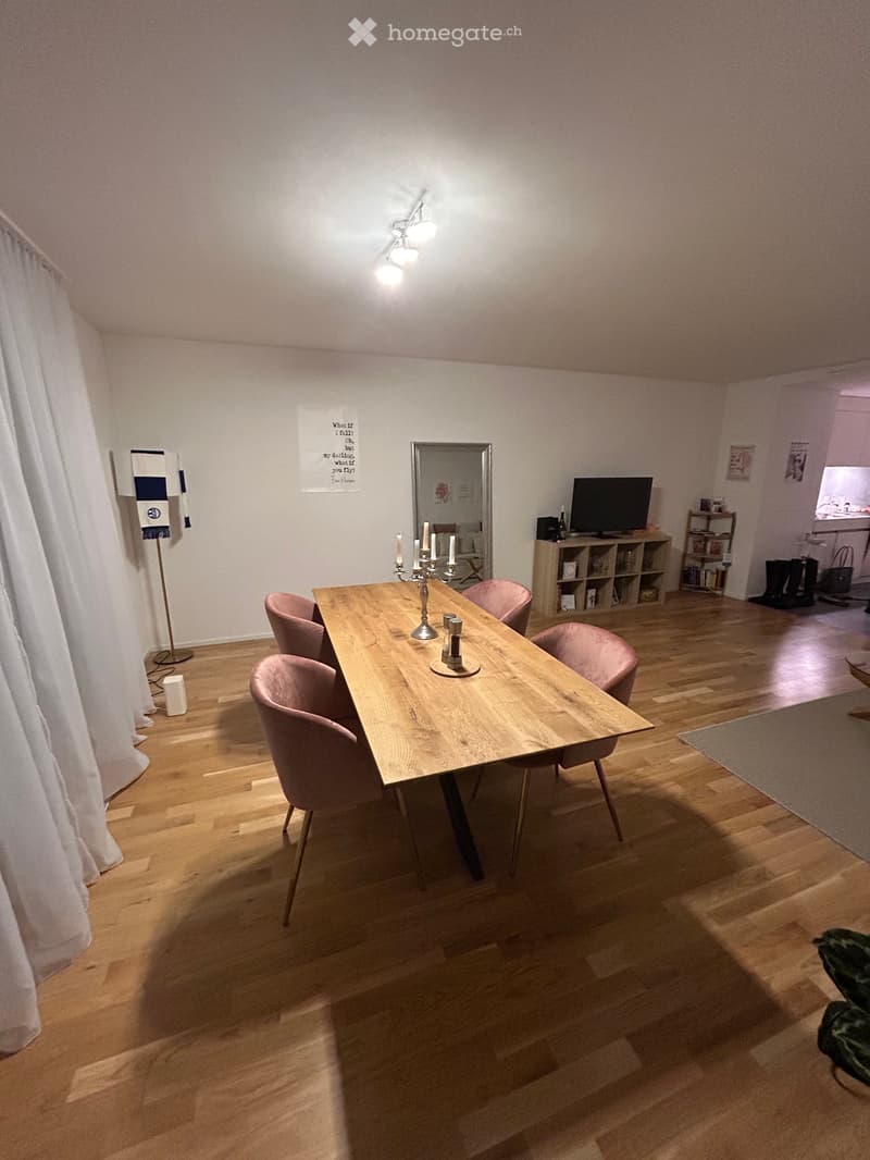 Dining room with wooden table, pink chairs, mirror, wooden shelf, television, candle holder, floor lamps, rug, and a potted plant