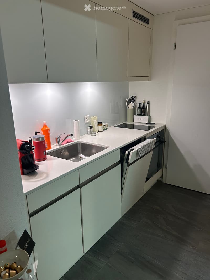modern kitchen, white cabinets, gray floors, stainless steel sink, built-in dishwasher, coffee machine, coffee pods, kitchen utensils