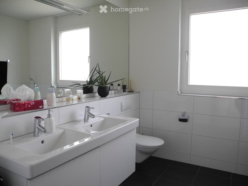Modern bathroom with double sink, chrome faucets, large mirror, toilet, and decorative items on the counter including a plant and toiletries.