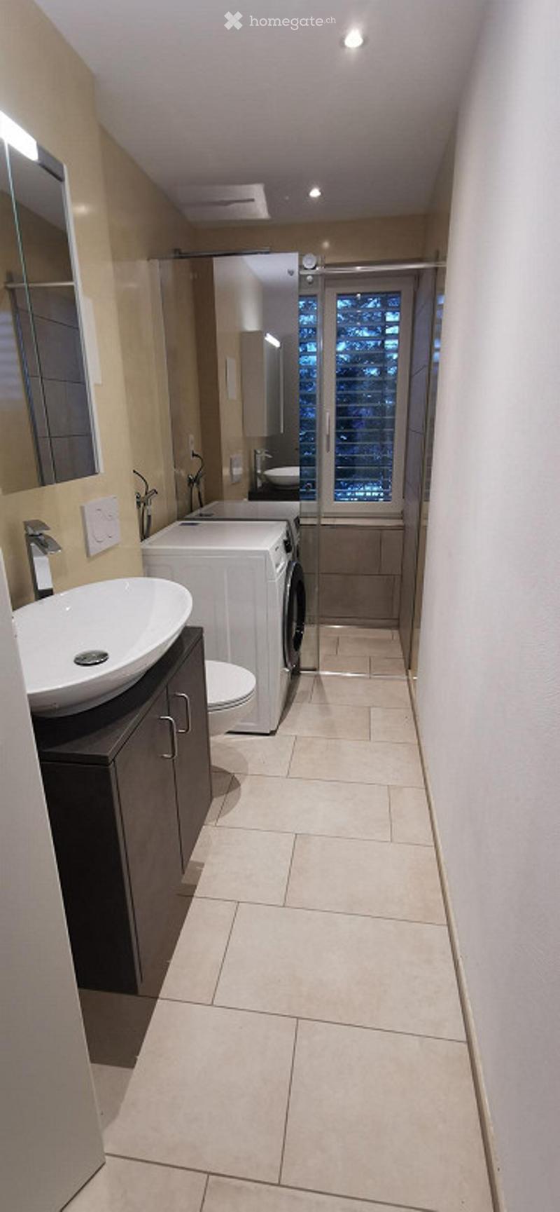 Modern bathroom with a large sink, mirror, toilet, and washing machine. The space features light-colored tiles and a glass shower enclosure.