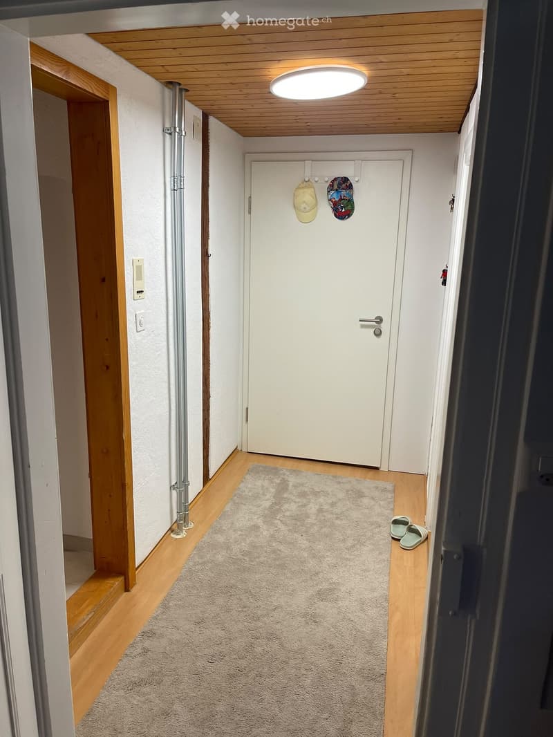 A narrow hallway with wooden flooring, a light fixture on the ceiling, a gray rug, and a coat rack with shoes and a hat. The hallway leads to a closed door.