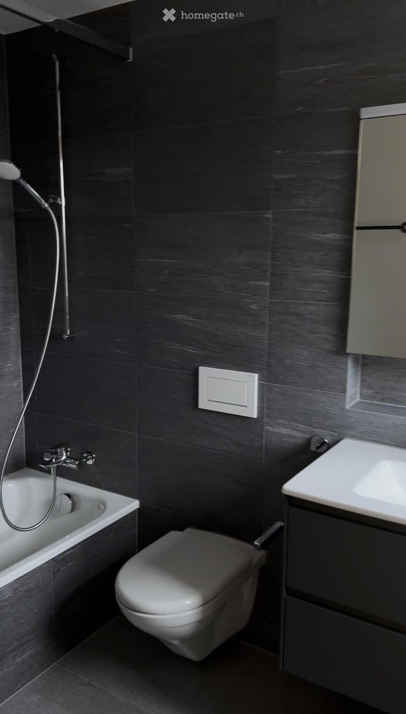 Modern bathroom with dark grey tiles, a bathtub, toilet, sink, and a showerhead attached to the wall.