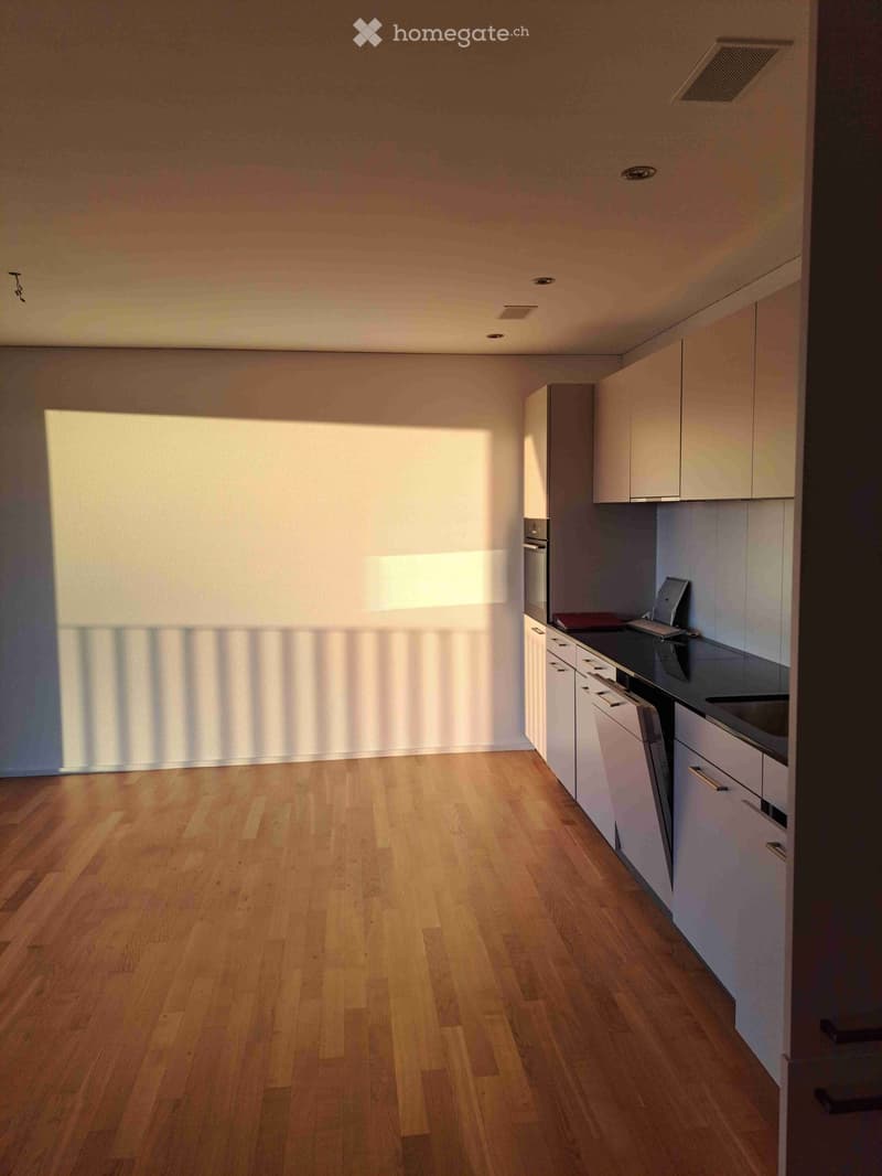 Empty kitchen with light wooden flooring, white cabinets, and a dark countertop. No appliances or furniture are present.