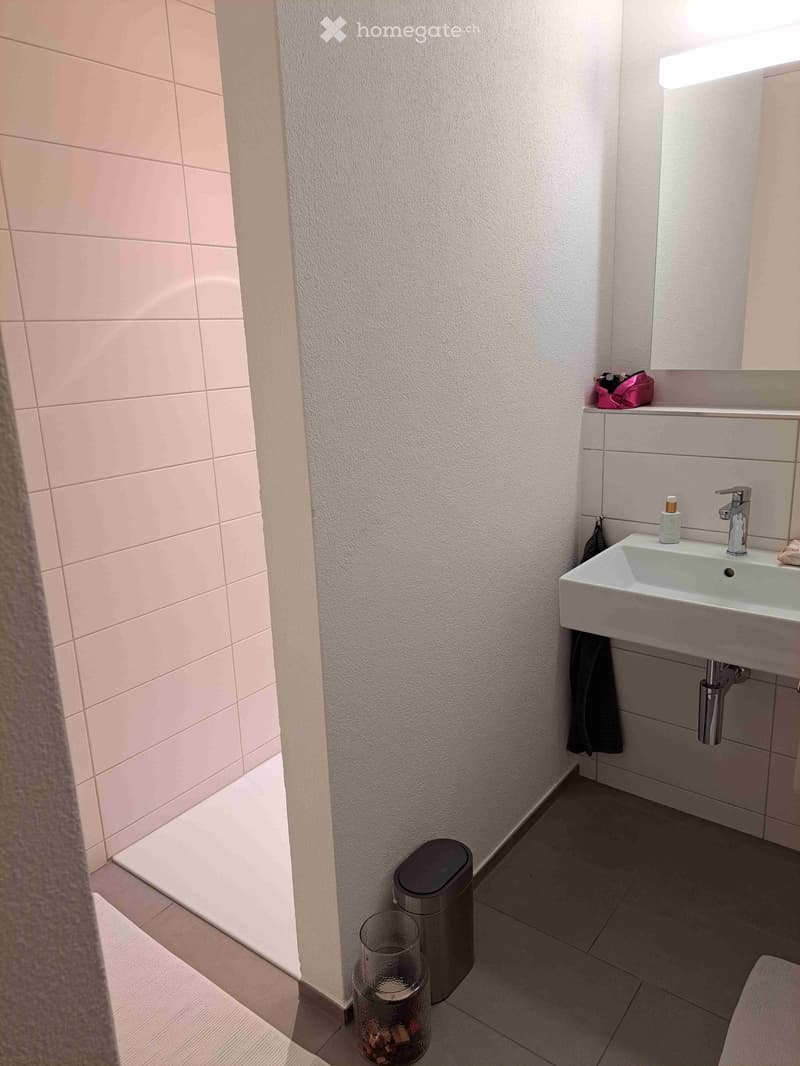 Modern bathroom with a white sink, chrome faucet, mirror, and a small pink handbag on the counter. The walls are tiled in light pink and white, and the floor is dark grey.