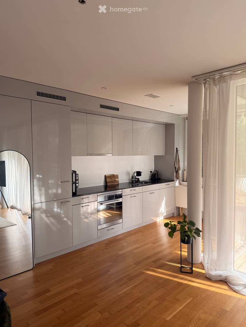 Modern kitchen with light grey cabinets, stainless steel appliances, wooden flooring, and large windows with white curtains.