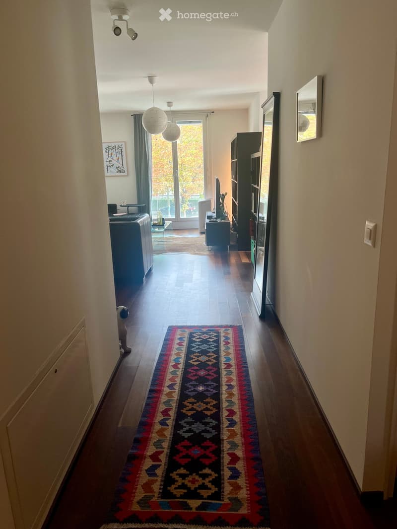 Hallway with wooden flooring, colorful runner rug, and visible living room area with sofa, TV, and shelves.