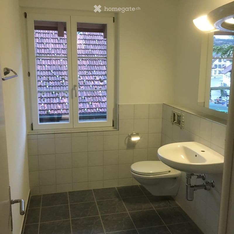 Clean bathroom with tiled walls and dark tiled floor, featuring a toilet, sink, and mirror. Windows offer a view of a tiled roof.