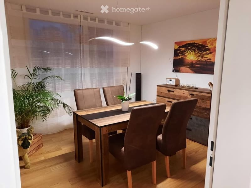 Modern dining room with a wooden dining table, four brown chairs, a sideboard with a radio, a potted plant, and a large picture frame on the wall.