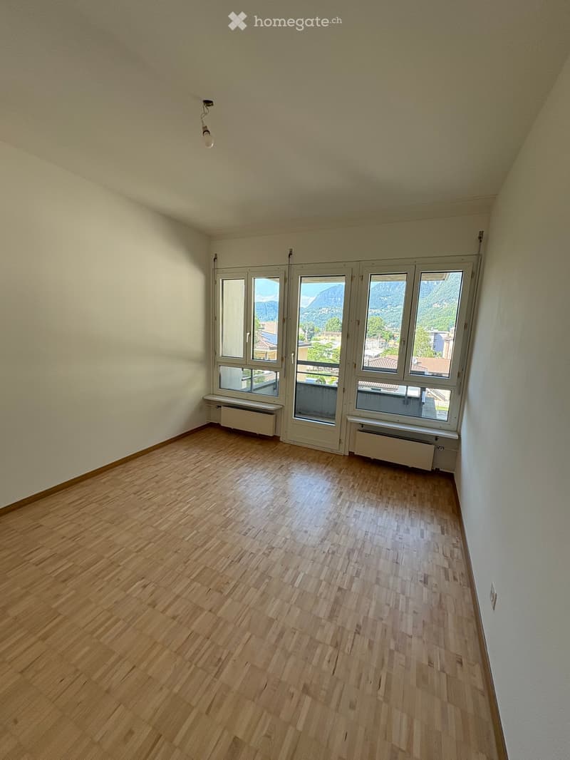 Empty room with wooden flooring, large windows offering a scenic view, and radiators along the walls.