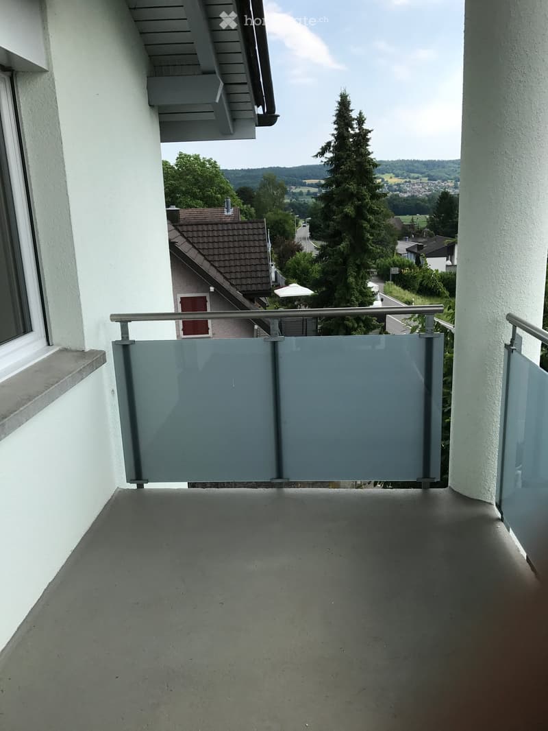 Balcony with a modern glass railing, overlooking a residential area with trees and houses.