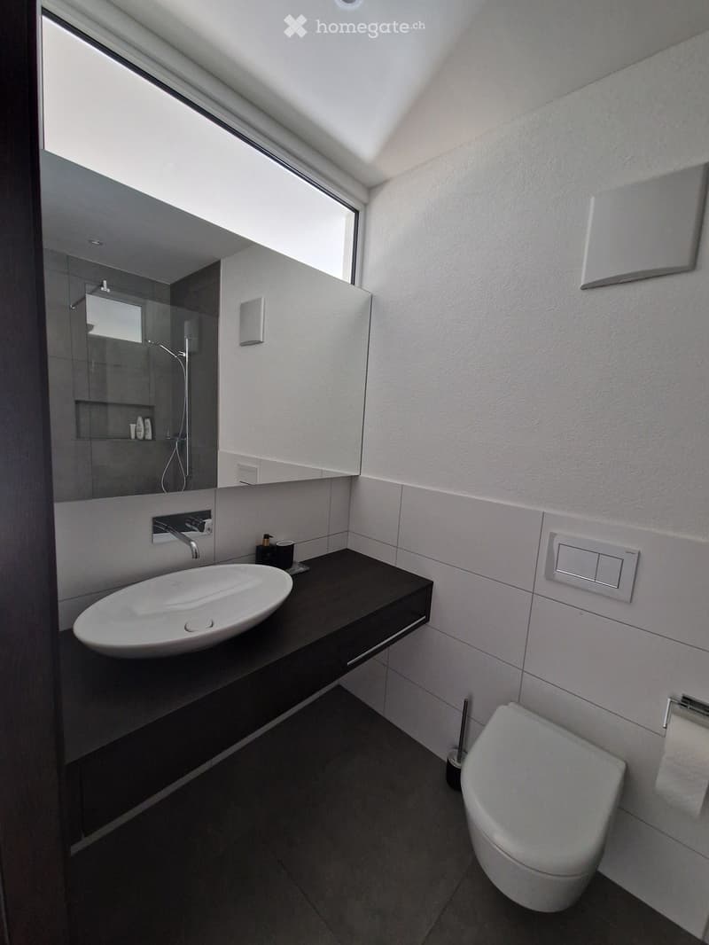 Modern bathroom with a sleek black vanity, white sink, chrome faucet, large mirror, and a separate shower area with glass enclosure.