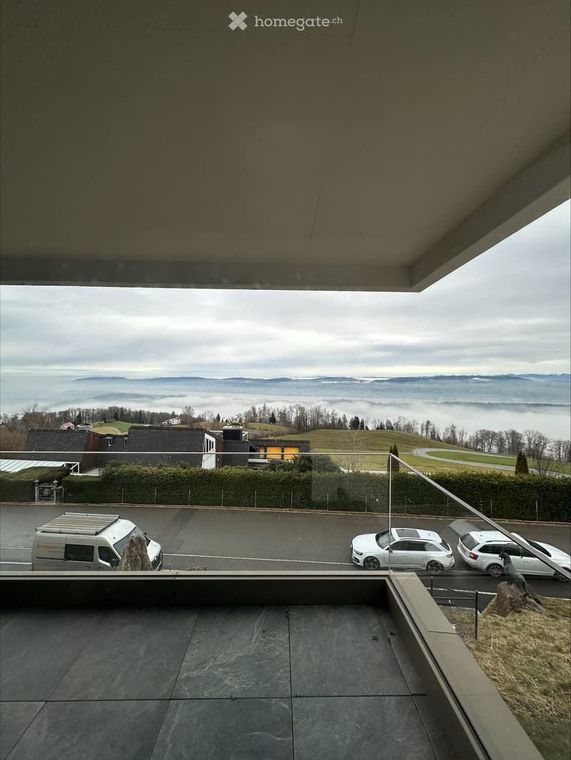 Exklusive 5.5-Zimmer Maisonette-Wohnung mit atemberaubendem Zürichsee- und Bergblick (4)