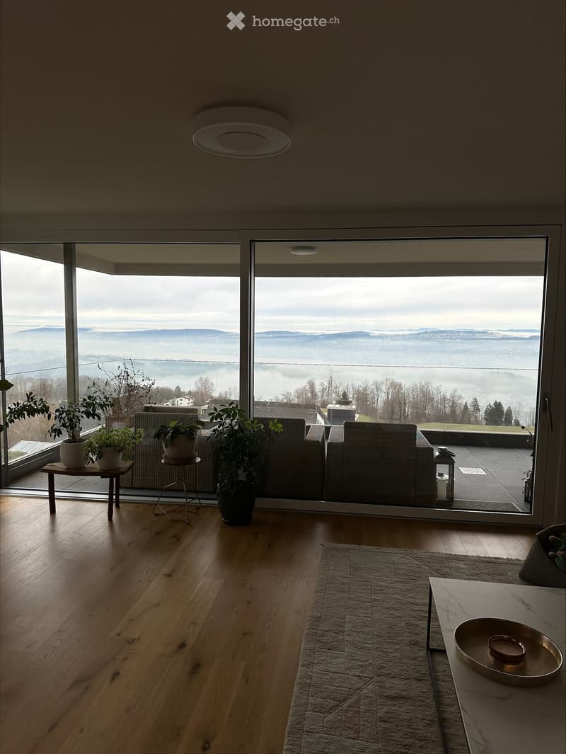 Exklusive 5.5-Zimmer Maisonette-Wohnung mit atemberaubendem Zürichsee- und Bergblick (3)