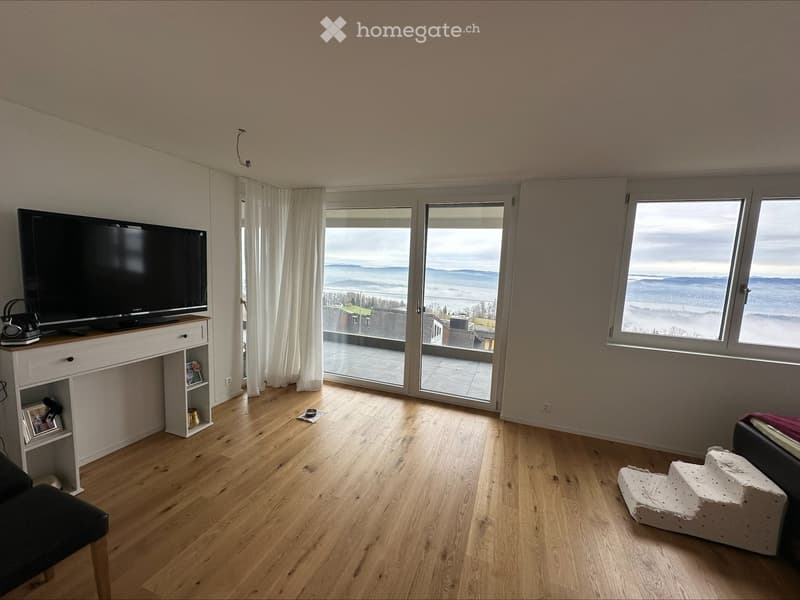 Exklusive 5.5-Zimmer Maisonette-Wohnung mit atemberaubendem Zürichsee- und Bergblick (15)