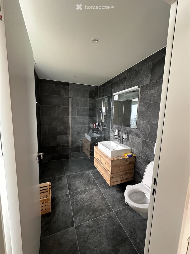 Exklusive 5.5-Zimmer Maisonette-Wohnung mit atemberaubendem Zürichsee- und Bergblick (20)