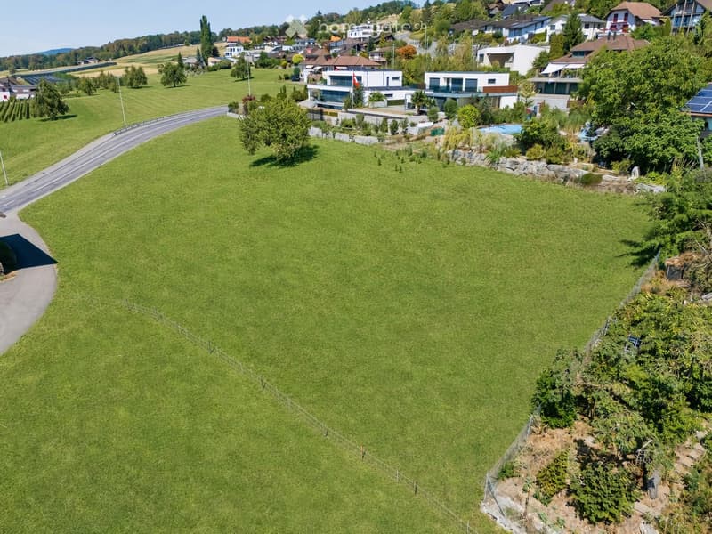 Aerial view of a large, well-maintained green lawn surrounded by a white fence, with a road and several modern houses in the background.