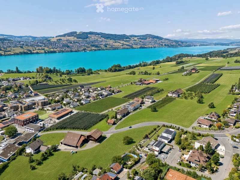 Aerial view of a rural village with houses, green fields, and a lake in the background.