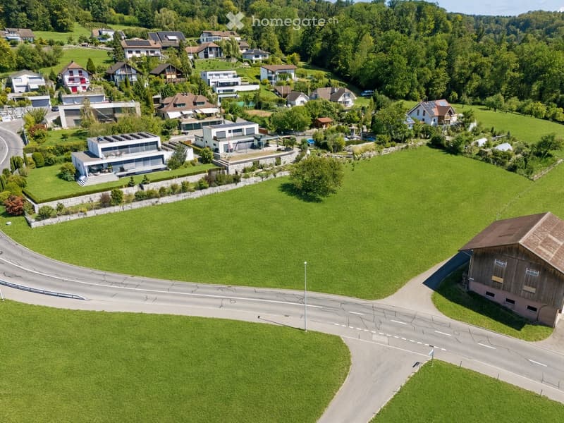 Aerial view of a suburban neighborhood with multiple houses, green lawns, trees, and a road running through the area.