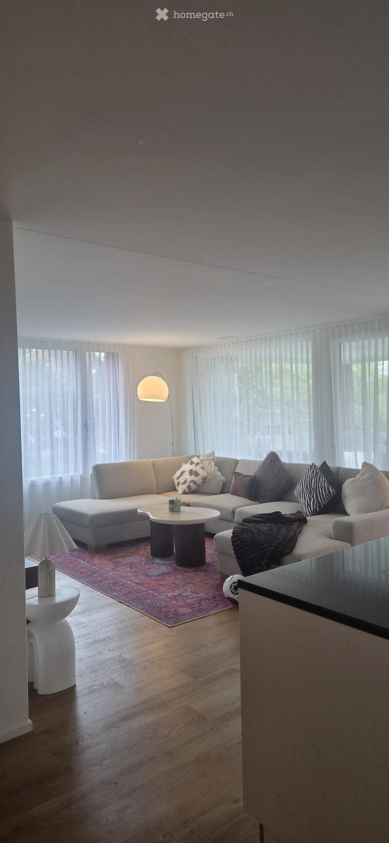 Modern living room with a sectional sofa, coffee table, floor lamp, and decorative pillows on a patterned rug.